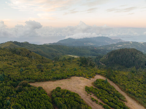 Madeira's rolling landscapes at sunrise