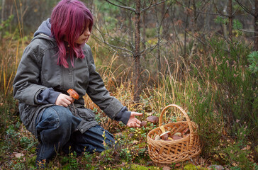 Young girl foraging mushroom in autumn forest picking