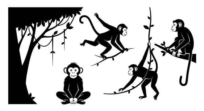 Monkeys in trees with transparent background