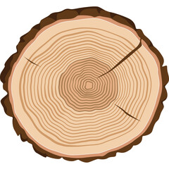 Detailed Cross Section Of A Tree Trunk Showing Annual Growth Rings Natural Wood Texture And Bark...