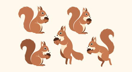 Squirrels holding acorns in various poses