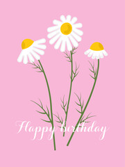 Obraz premium Vertical birthday card. Three white daisies with green leaves and the text 