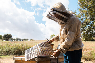 Beekeeper managing apiary under sunny sky
