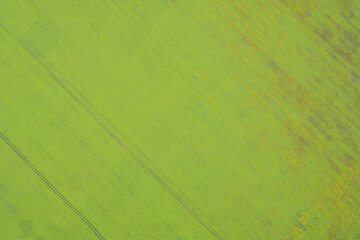 Obraz premium Aerial drone shot of a vibrant lime green field showing faint tractor tracks (tramlines) and a section of flowering crops. Represents spring growth and sustainable farming.