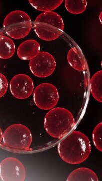 Ok High-quality microscopic image reveals hematocyturia in urine samples within a lab setting