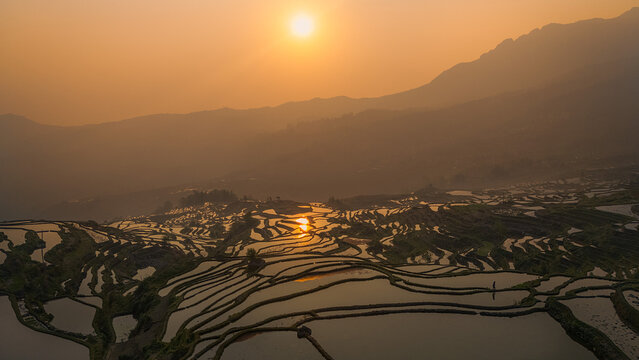 Aerial view of golden sun kissing the serene rice terraces, reflecting light like scattered jewels, Honghe, Yunnan, China.