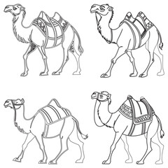 Set Bactrian camel line art and illustrator silhouette eps10
