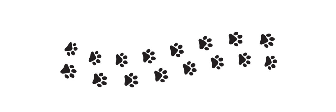 Leopard paw prints silhouette. Panther paw prints vector