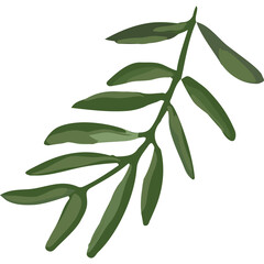 Elegant Green Leafy Branch with Smooth Oblong Leaves and Subtle Shading Against a Clean Transparent Background Detailed Botanical Illustration