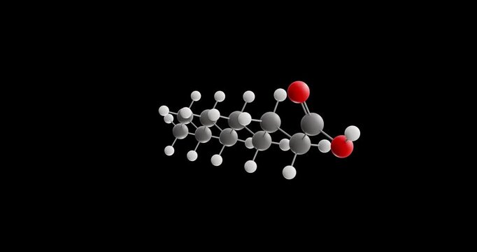 Capric acid molecule, rotating 3D model of saturated fatty acid, looped video on a black background
