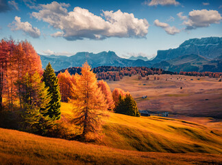 Breathtaking morning view of Alpe di Siusi mountain plateau with beautiful yellow larch trees and...