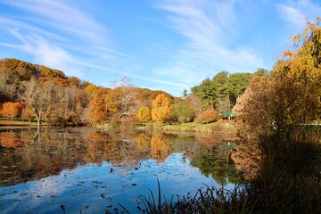 autumn trees reflected in water