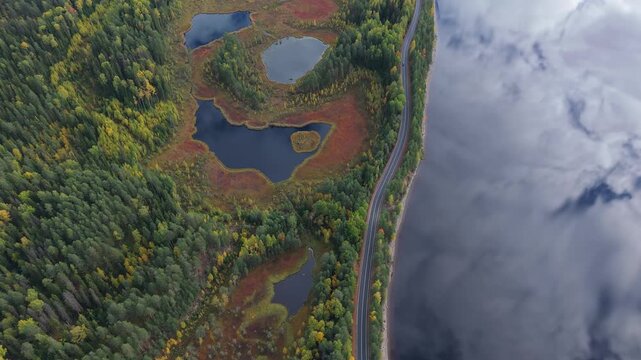 Aerial view of a winding road along a conifer forest and peat bogs covered with moss. Scenic highway passes between dark lakes, marshes, and dense evergreen woodland. Peaceful wilderness landscape