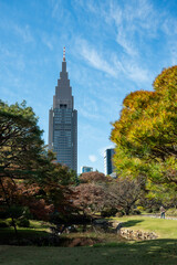 都市と自然が交わる秋の景観