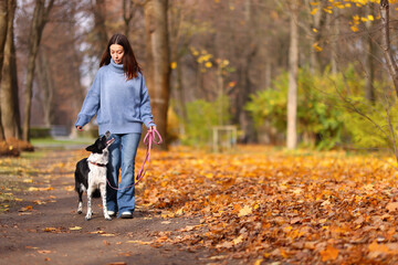 Fototapeta premium Woman walking her cute dog in autumn park, space for text