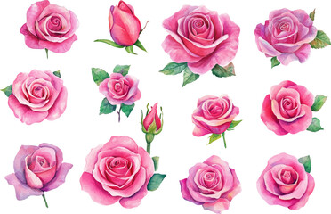 Obraz premium seamless pattern with pink roses