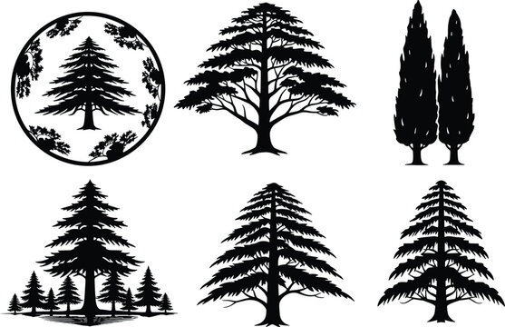 PrintBlack Silhouette Vector Set of Cedar of Lebanon, Pine, and Cypress Trees with Detailed Foliage, Ideal for Logo Design, Vintage Stamps, and Nature Graphics