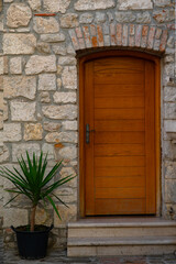 A charming wooden door set into a beautiful textured stone wall, accompanied by a potted dracaena plant.