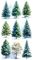 Obraz premium Nine watercolor illustrations of diverse evergreen and deciduous trees