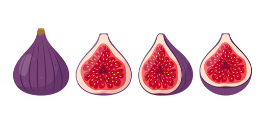 Fresh Fig fruit icons. Whole and cut fig fruit. Halved figs different view. Organic tropical fruit. Vector icon illustration isolated on white background.