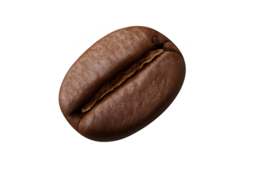 Single roasted coffee bean on transparent background, showing its central crease