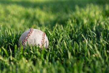 Old baseball in green grass with soft sunlight and shallow depth of field, perfect outdoor sports background.