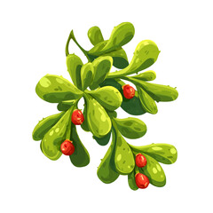 Flat 2D Mistletoe Cactus vector illustration, icon graphic on white background