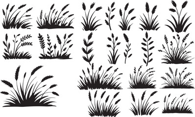 wild grass silhouette for botanical design and nature 
