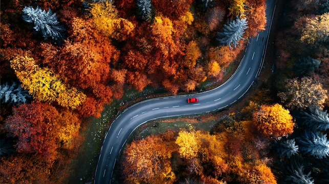 Winding autumn road with red car through vibrant forest vista