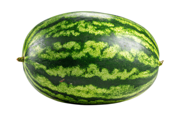 A fresh, juicy watermelon with a striped green exterior, perfect for summer picnics and healthy snacks.