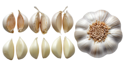 Garlic clove and bulb displayed on a white background. The composition includes whole and sliced cloves, showcasing the texture and details of this essential culinary ingredient.