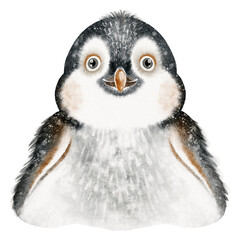 Cute watercolor portrait of an emperor penguin. Ideal for educational content, posters, and animal illustrations for kids.