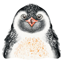 Cute watercolor portrait of an emperor penguin. Ideal for educational content, posters, and animal illustrations for kids.