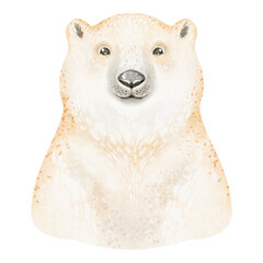 A charming watercolor illustration of a polar bear's head, isolated on white. Perfect for children's designs or wildlife-themed projects.