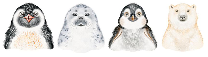 Cute watercolor portraits of polar animals, including penguin, polar bear, and fur seal. Isolated on white background. Ideal for educational content, posters, and animal illustrations for kids.