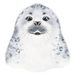Watercolor illustration of a cute seal's portrait. Isolated on white background, this wild animal looks happy and charming. Hand drawn seal portrait.