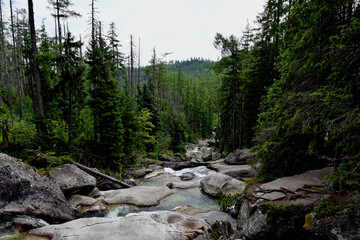 Long Waterfall (slovak: Dlhy vodopad) - one from the complex of waterfalls in the Cold Water Valley in the Slovak High Tatras