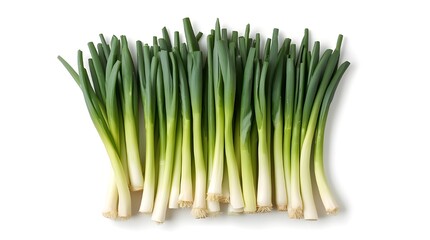 Fresh green onion, Green onion isolated on white background
