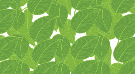 Seamless pattern of fresh green leaves with subtle line art details, creating a vibrant, organic background for various designs.