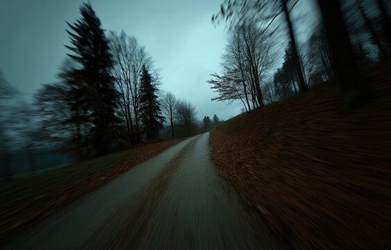 A winding road amidst trees creates a tranquil scene, emphasizing a sense of slowness at dusk