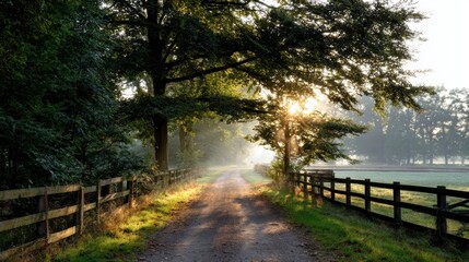A peaceful country road leading to an old wooden fence, with sunlight filtering through the trees and mist rising from dew-covered fields in the early morning light.