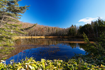 Clear blue sky and forest reflections on the calm surface of Azami Pond in a serene mountain landscape