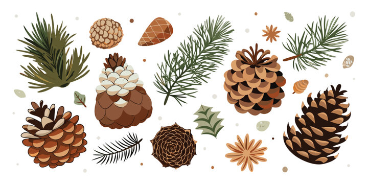 Pinecones fir branches winter christmas nature forest botanical foliage cones flora
