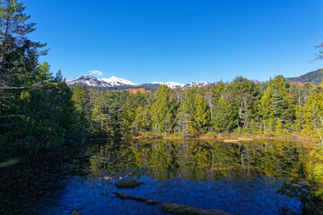 Obraz premium Lake Ushidome reflecting the forests and snow-capped Mount Norikura under a clear blue sky