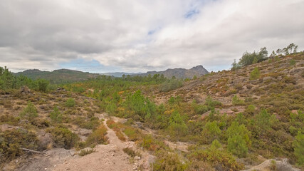 Fototapeta premium Path through a mountain landscape with shrubs and pine trees under a cloudy sky in Penada Geres national park, Portugal 