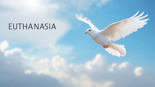 Peaceful Dove in a Serene Sky