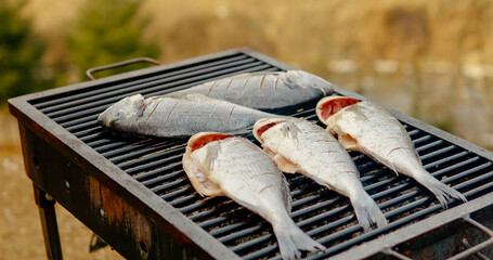 Golden brown sea bream sizzling over charcoal grill, releasing aromatic flavors during Mediterranean outdoor summer cooking session