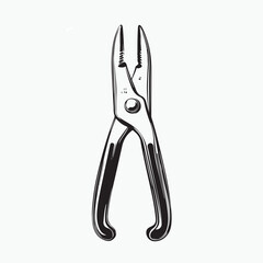 pliers isolated on white background