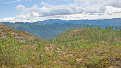 Naklejka premium Cloudy mountain landscape with rocks and pine trees in Penada-Geres national park, Portugall 