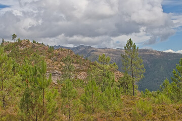 Mountain landscape with rocks and pine trees in Penada-Geres national park, Portugall 